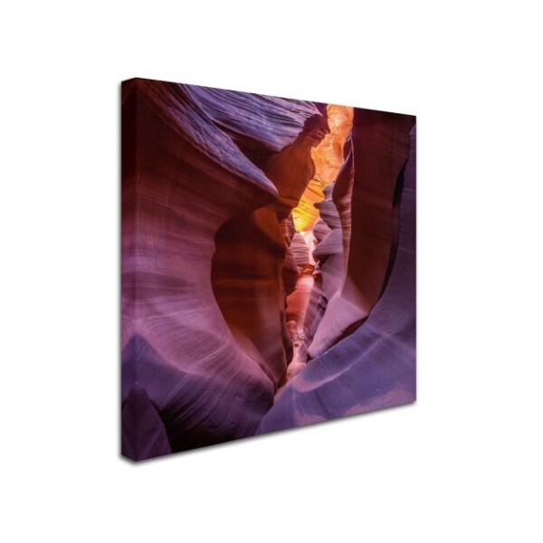 Sandipan Biswas 'Fire In Canyon' Canvas Art,35x35